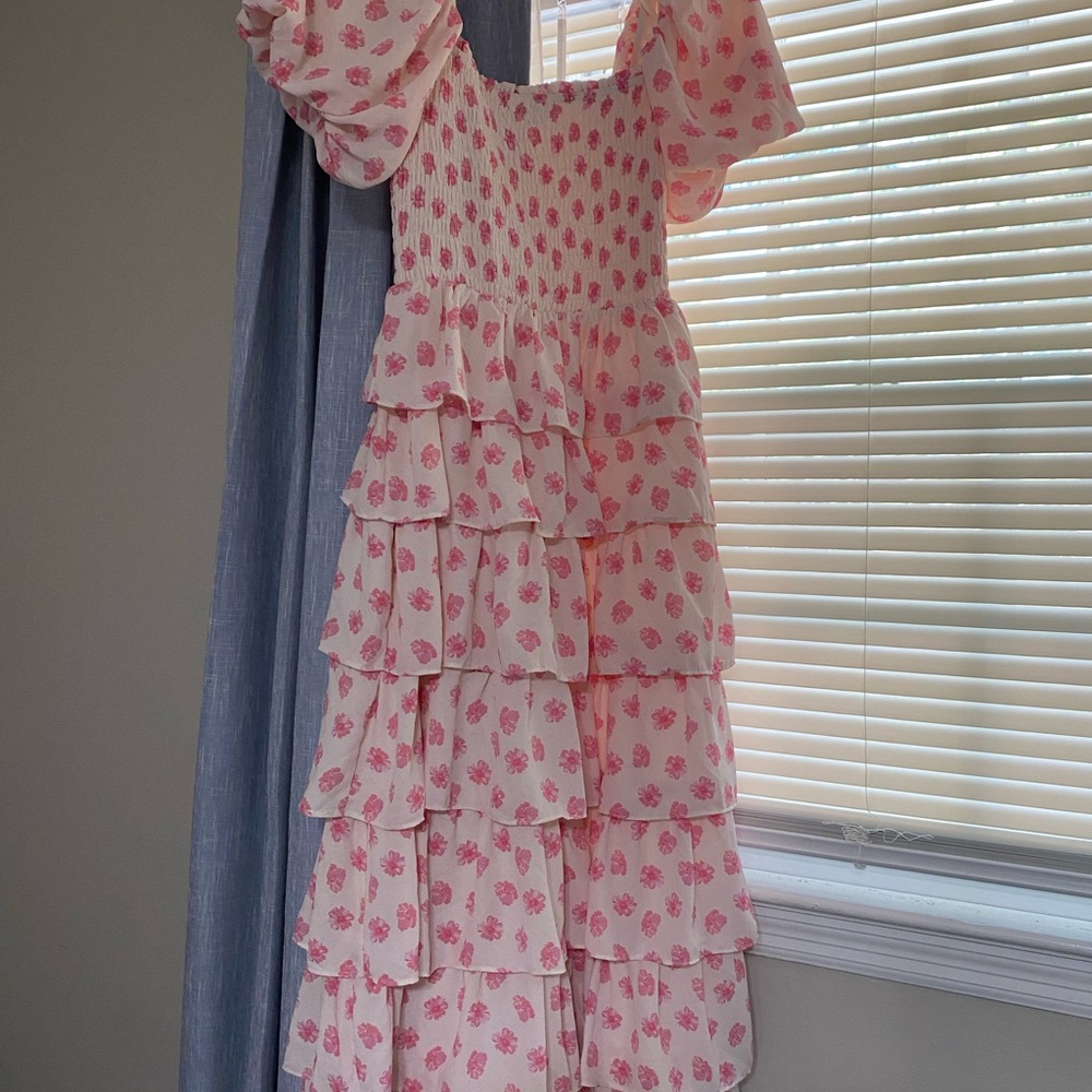 Francesca's Collections Pink Floral Maxi Dress